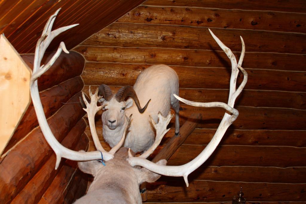 Wise Old Hunter Lodge Anchor Point Kamer foto