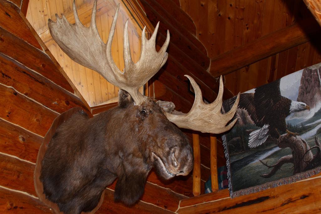 Wise Old Hunter Lodge Anchor Point Kamer foto